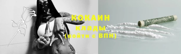 сатива Аркадак