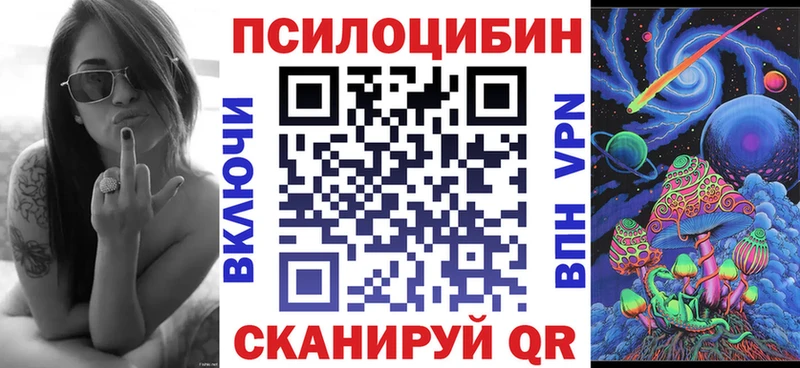 цена   Спасск  Псилоцибиновые грибы Psilocybine cubensis 